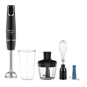 Bras Mixeur 4 en 1 Moulinex DD944810