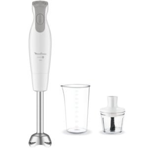 Mixeur Plongeant Easychef Moulinex Dd552110 Blanc